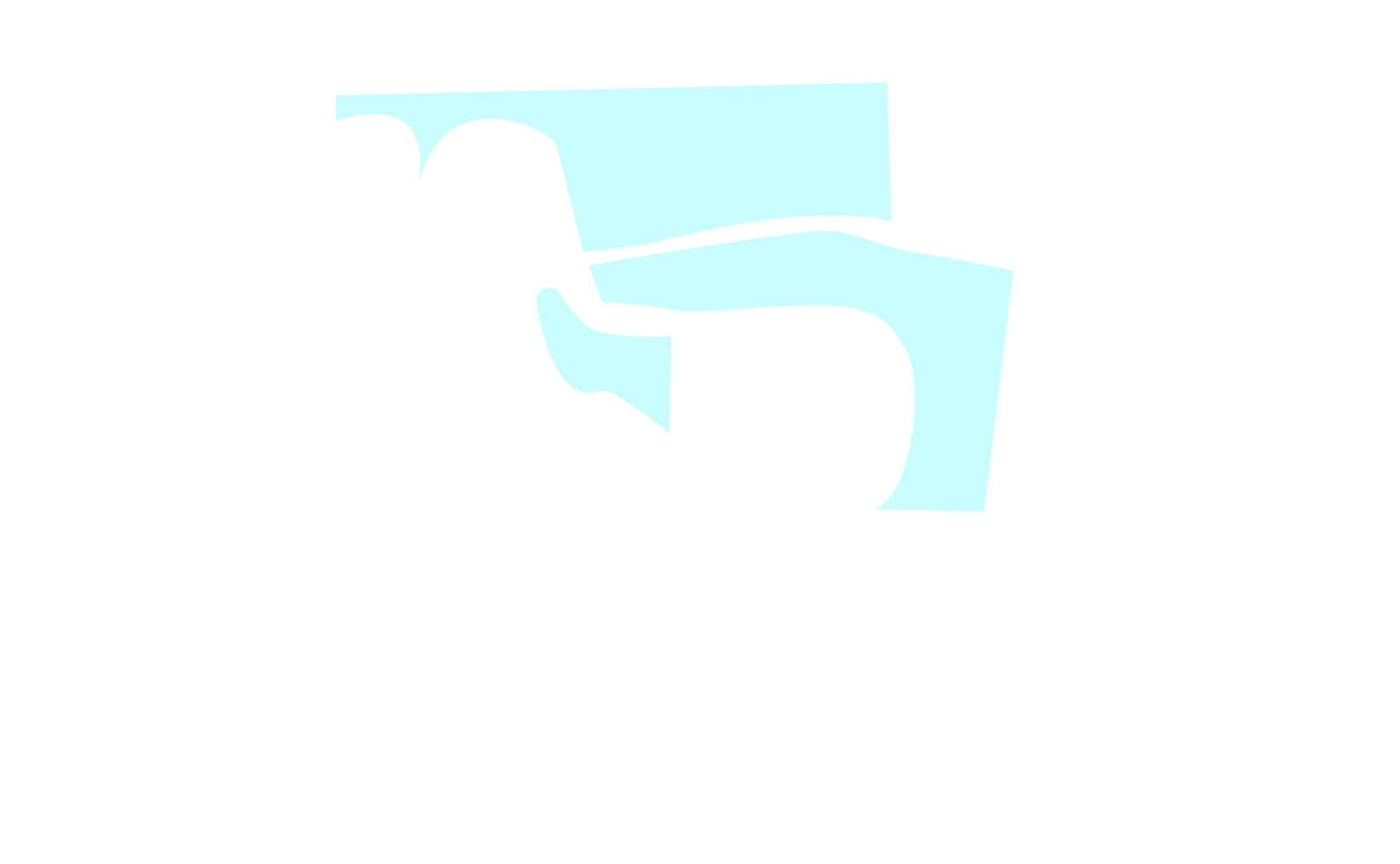 Spectator Area Layer